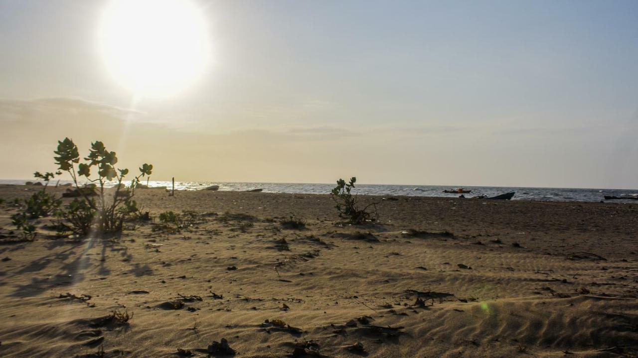 Playa Samara Hostel Camarones Exterior photo