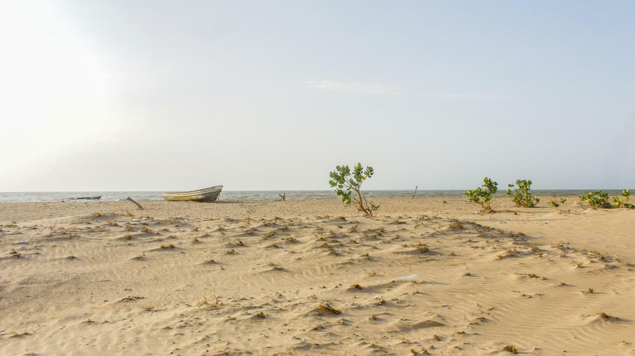 Playa Samara Hostel Camarones Exterior photo